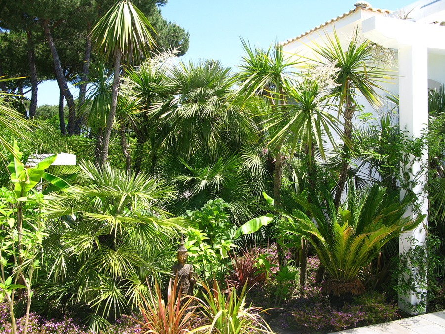 The villa garden