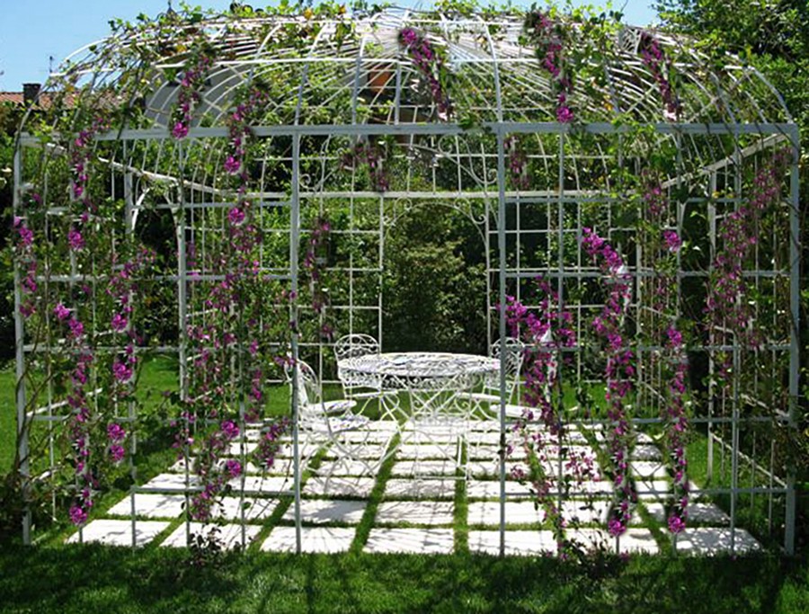 The pergola